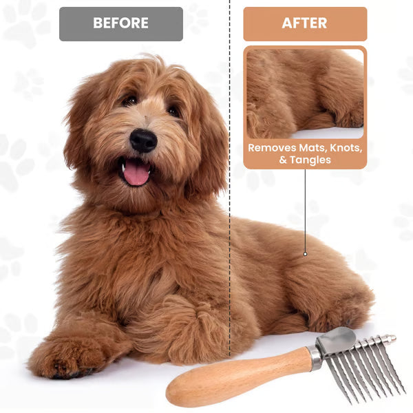 Detangler Brush for Dogs